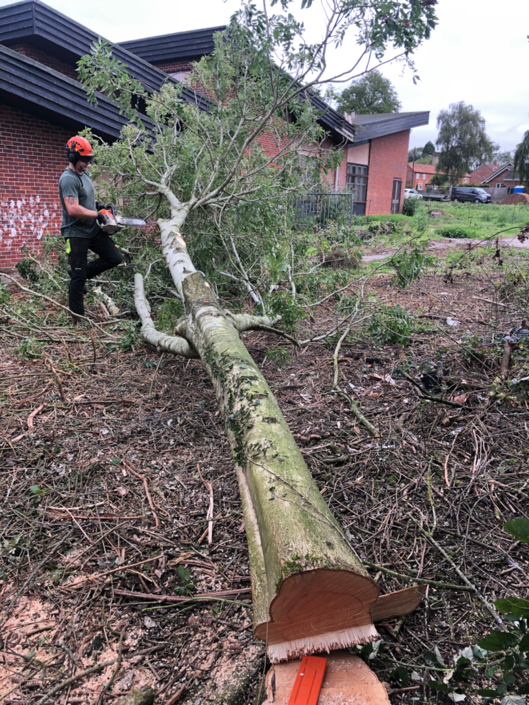 T.G. Bird Tree Services | Tree Surgeon Norfolk & Norwich