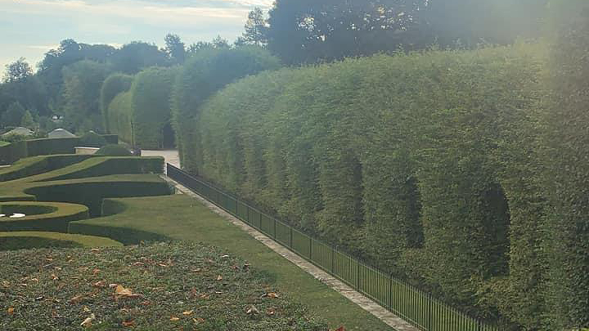 T.G. Bird Tree Services | Tree Surgeon Norfolk & Norwich