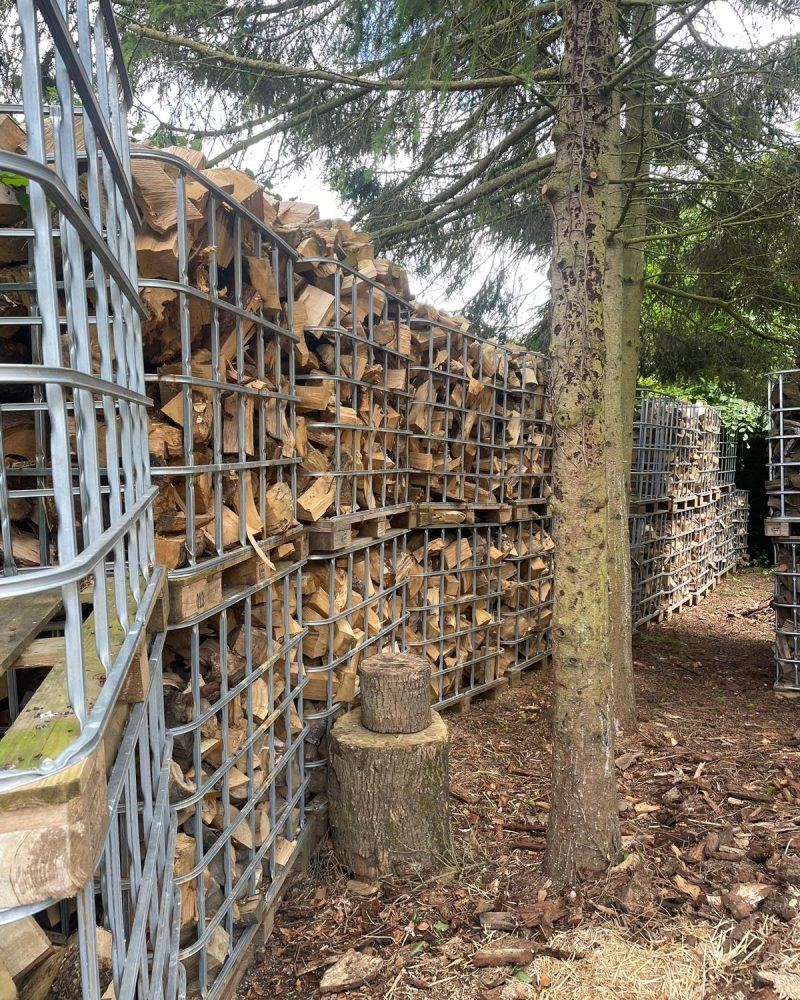 T.G. Bird Tree Services | Tree Surgeon Norfolk & Norwich