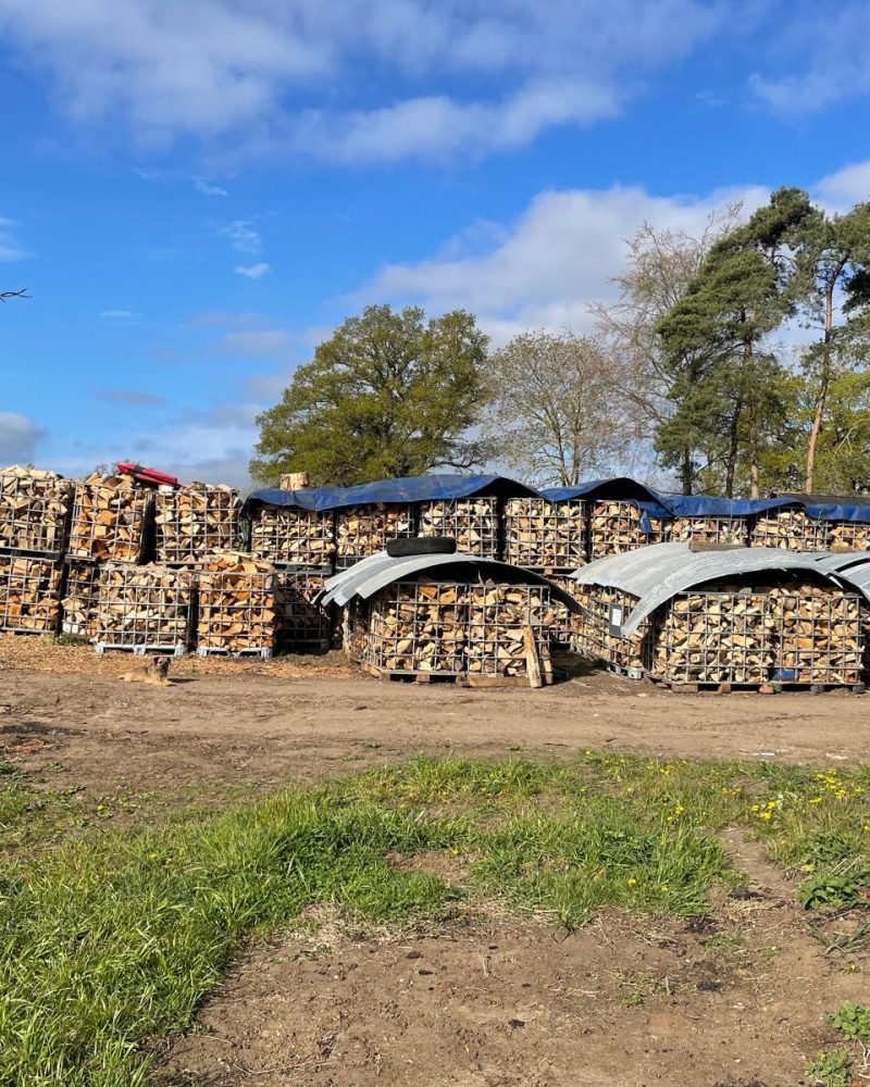 T.G. Bird Tree Services | Tree Surgeon Norfolk & Norwich